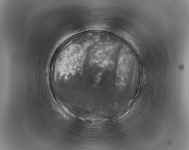 X0000097301035200803071748