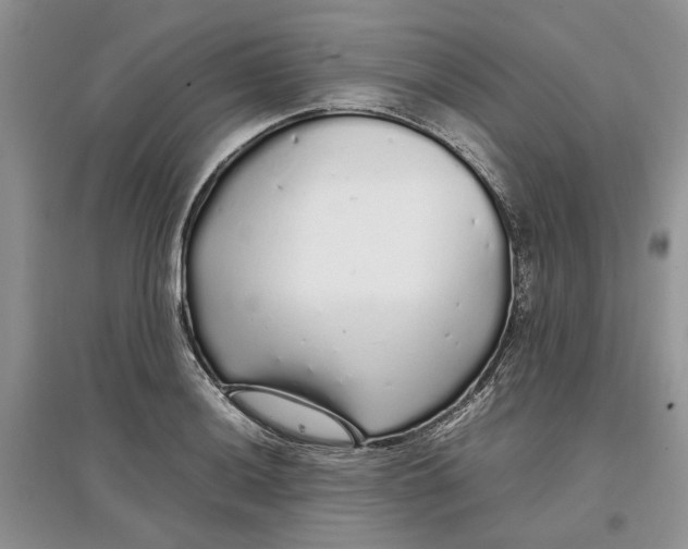 X0000097301036200803071748