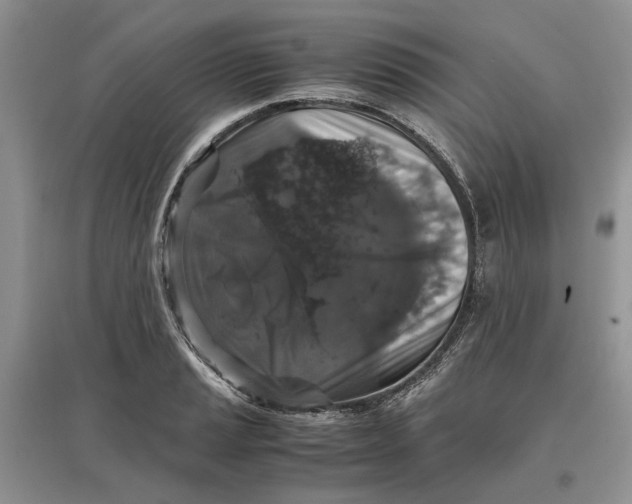 X0000097301037200803071748