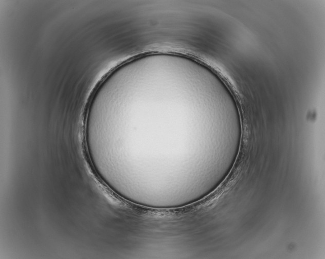 X0000097301040200803071748