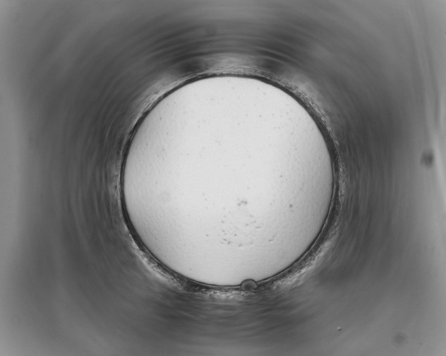 X0000097301041200803071748