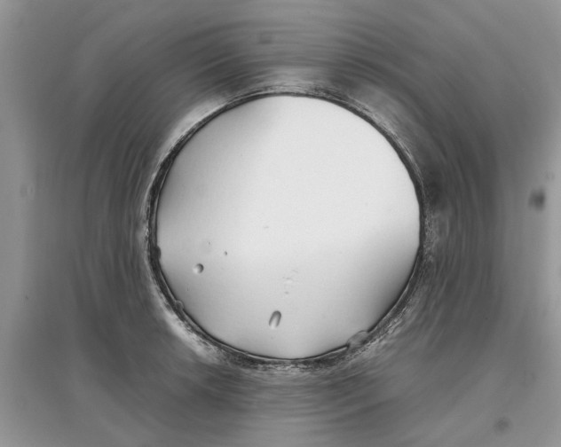 X0000097301042200803071748