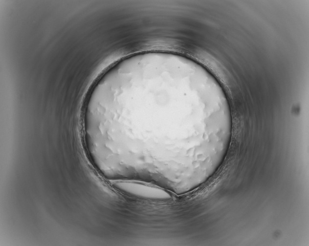 X0000097301043200803071748