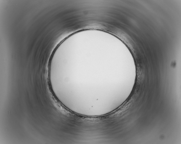 X0000097301044200803071748