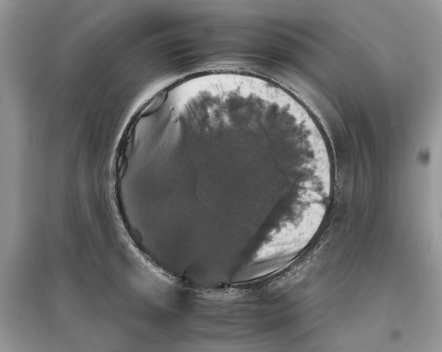 X0000097301045200803071748