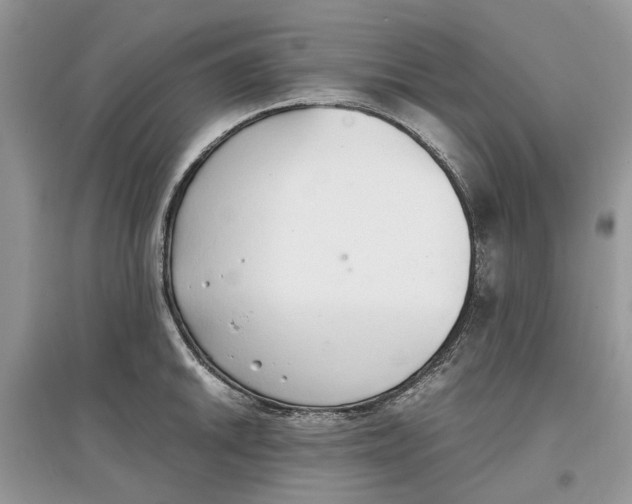 X0000097301046200803071748