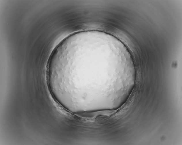 X0000097301047200803071748