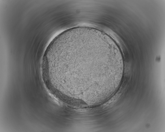 X0000097301048200803071748