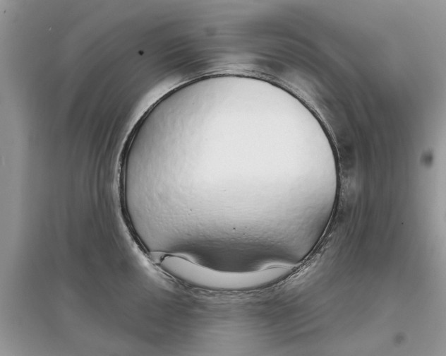 X0000097301050200803071748