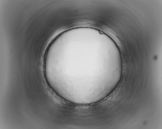 X0000097301051200803071748