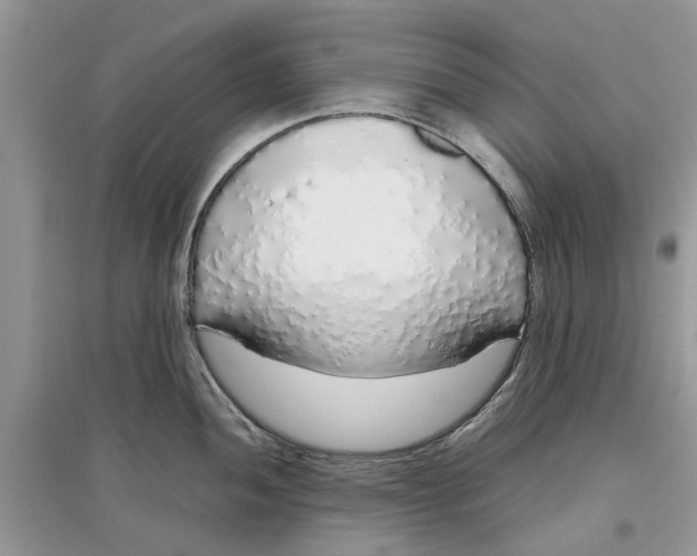 X0000097301052200803071748