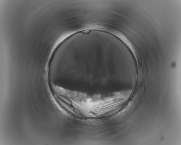 X0000097301053200803071748