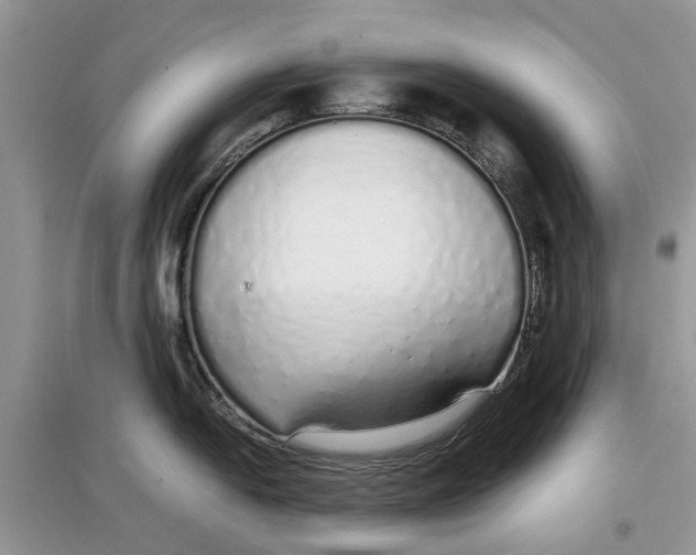 X0000097301054200803071748