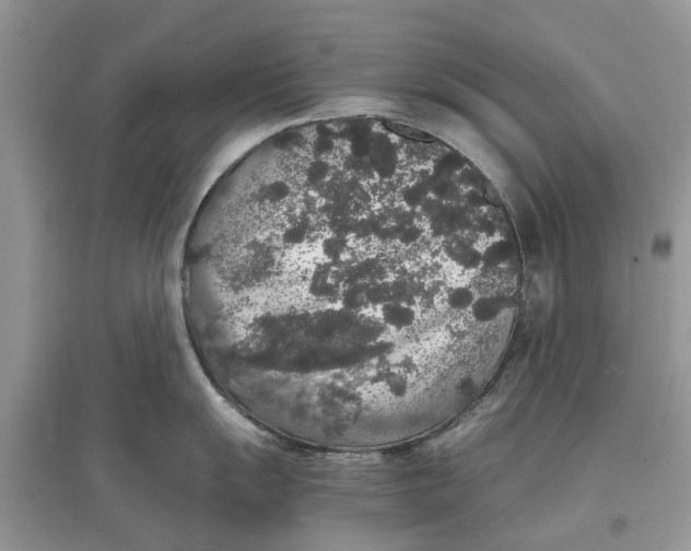 X0000097301055200803071748