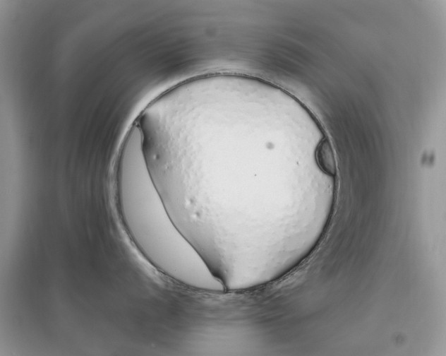 X0000097301056200803071748