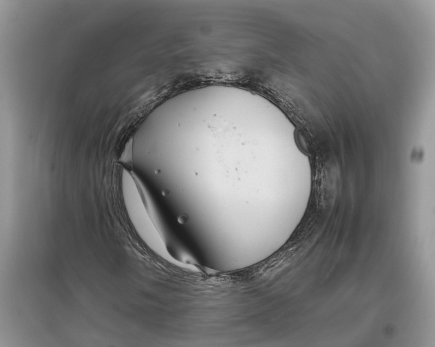 X0000097301058200803071748