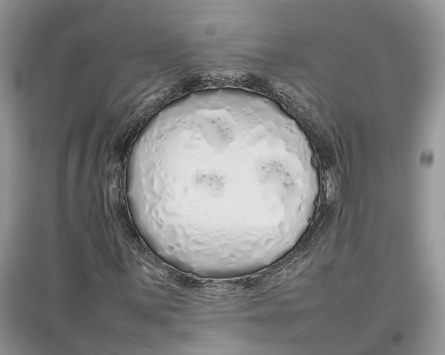 X0000097301059200803071748