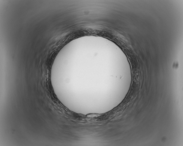 X0000097301061200803071748