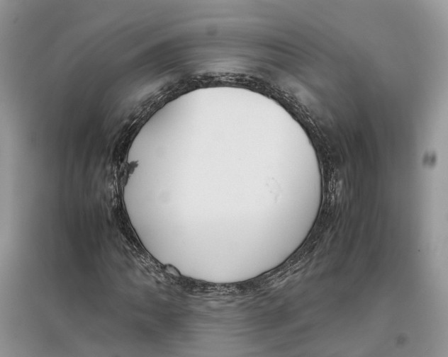 X0000097301062200803071748