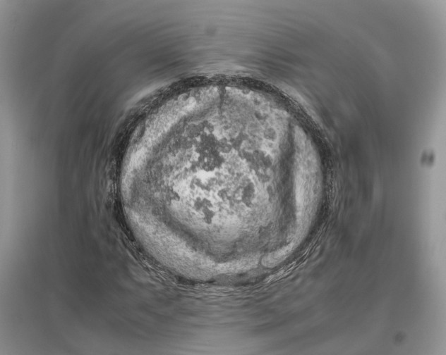 X0000097301063200803071748