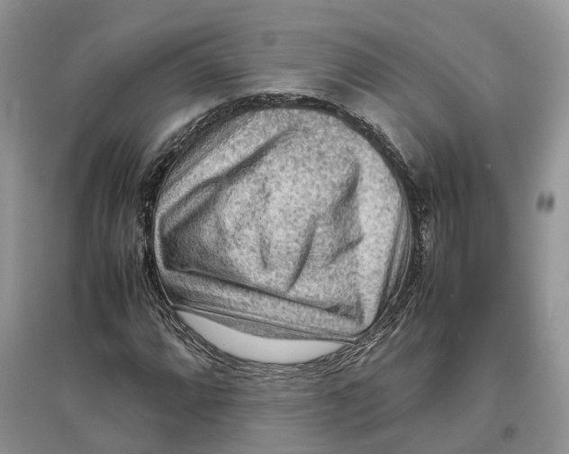 X0000097301064200803071748