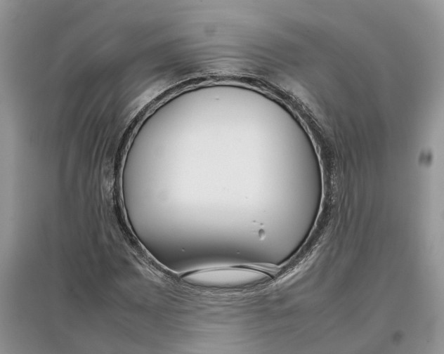 X0000097301065200803071748