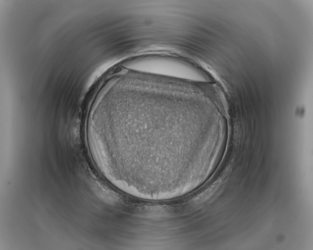 X0000097301066200803071748