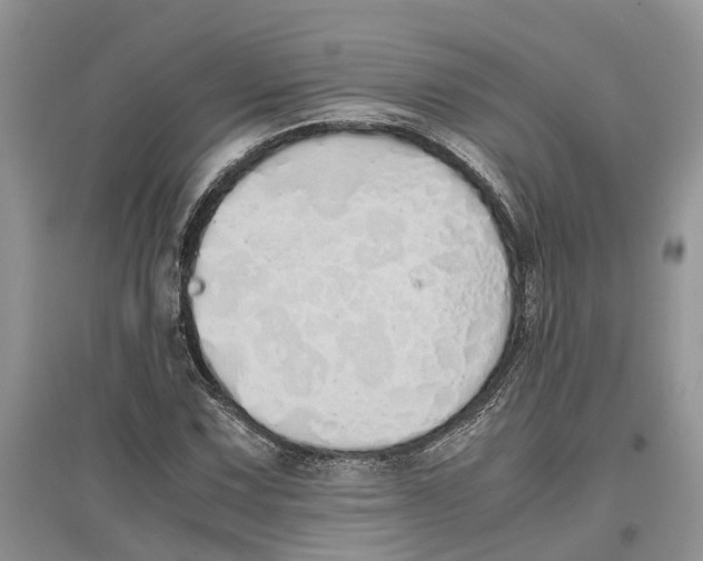 X0000097301067200803071748