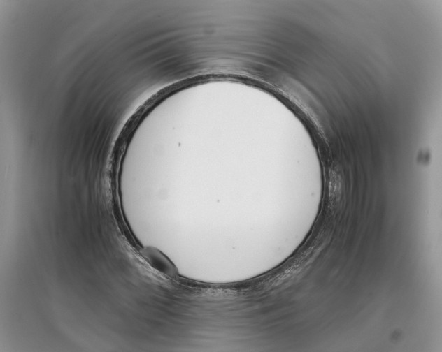 X0000097301068200803071748