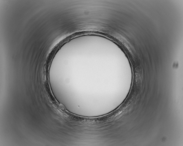 X0000097301069200803071748