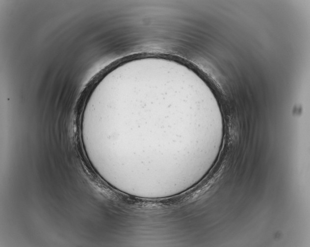 X0000097301070200803071748