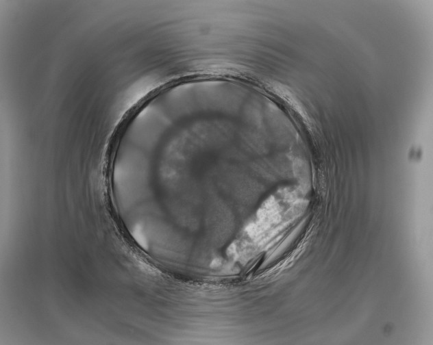 X0000097301071200803071748