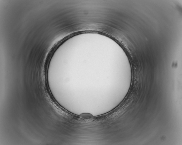 X0000097301072200803071748