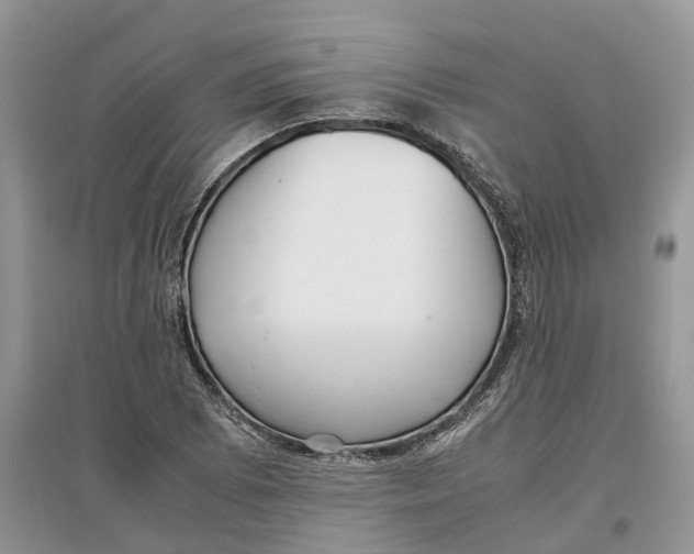 X0000097301073200803071748