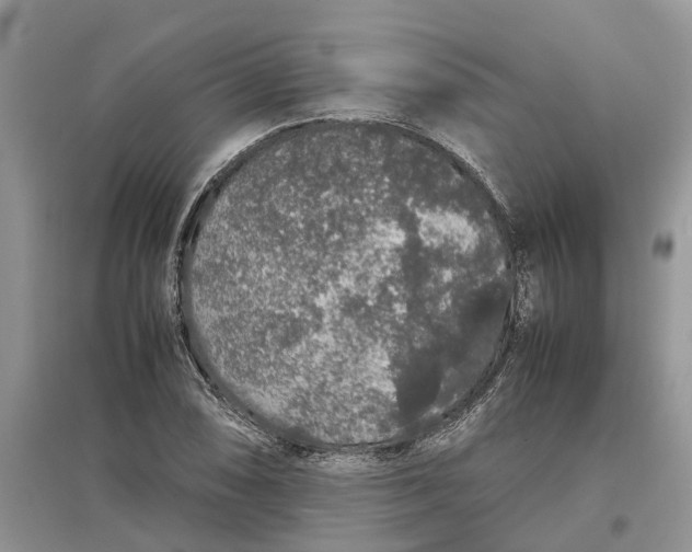 X0000097301074200803071748