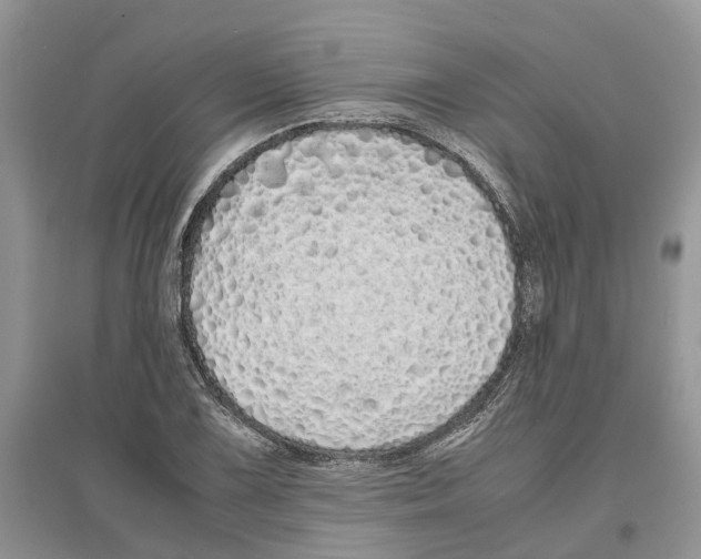 X0000097301075200803071748