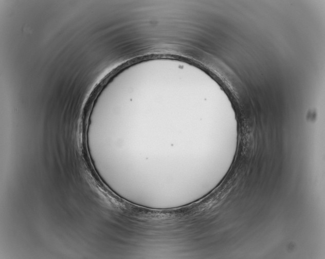 X0000097301076200803071748