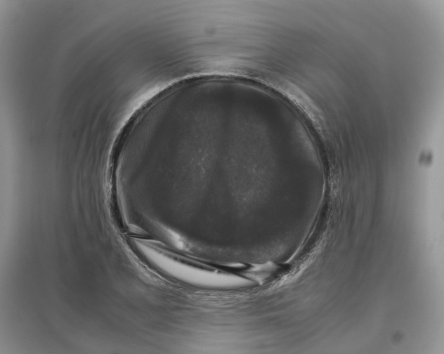 X0000097301077200803071748