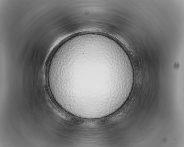 X0000097301078200803071748