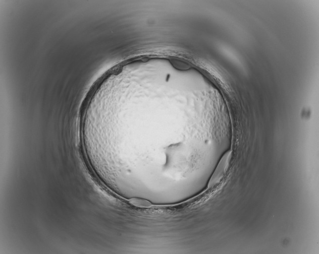 X0000097301079200803071748