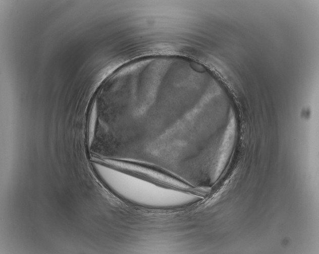 X0000097301081200803071747