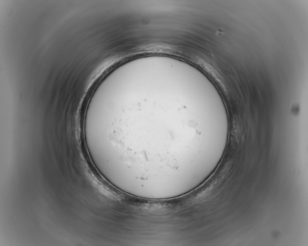 X0000097301082200803071747