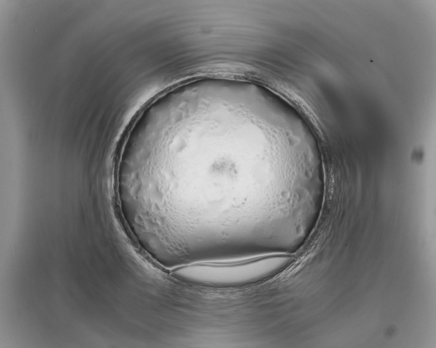 X0000097301083200803071747