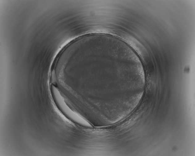 X0000097301084200803071747