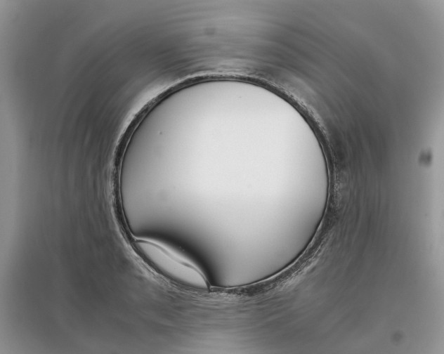 X0000097301085200803071747