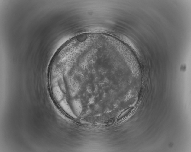 X0000097301087200803071747