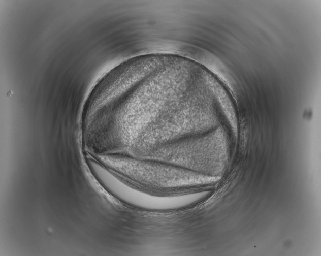 X0000097301088200803071747