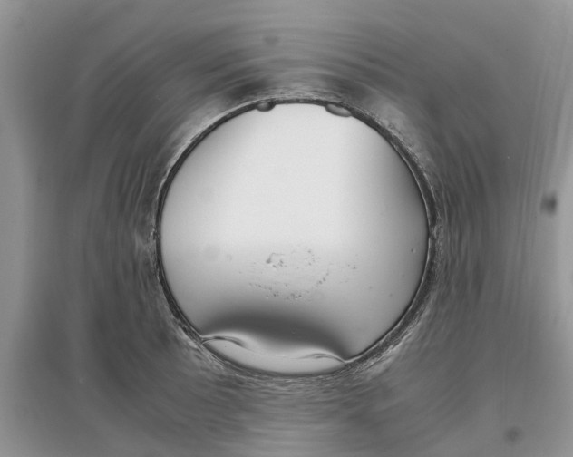 X0000097301089200803071747