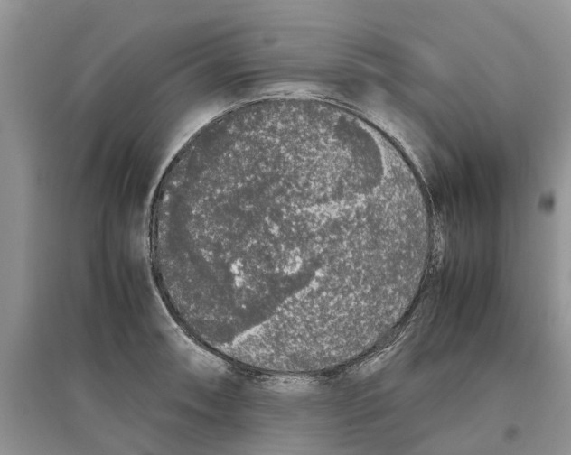 X0000097301090200803071747