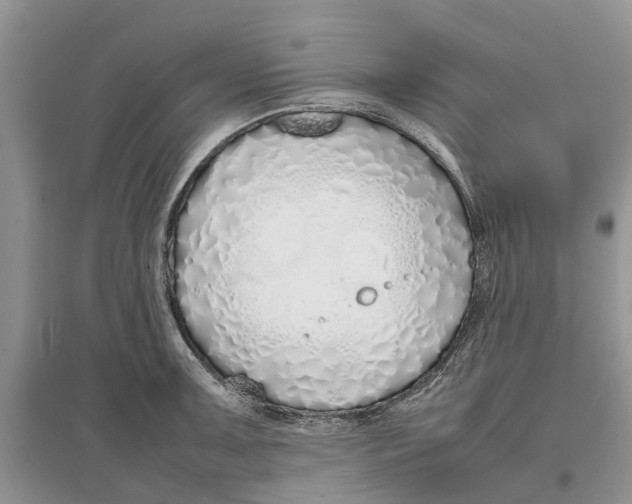 X0000097301091200803071747